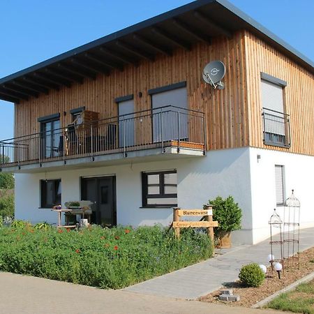 Ferienwohnungen Blumenwiese Dillingen an der Donau Exterior foto
